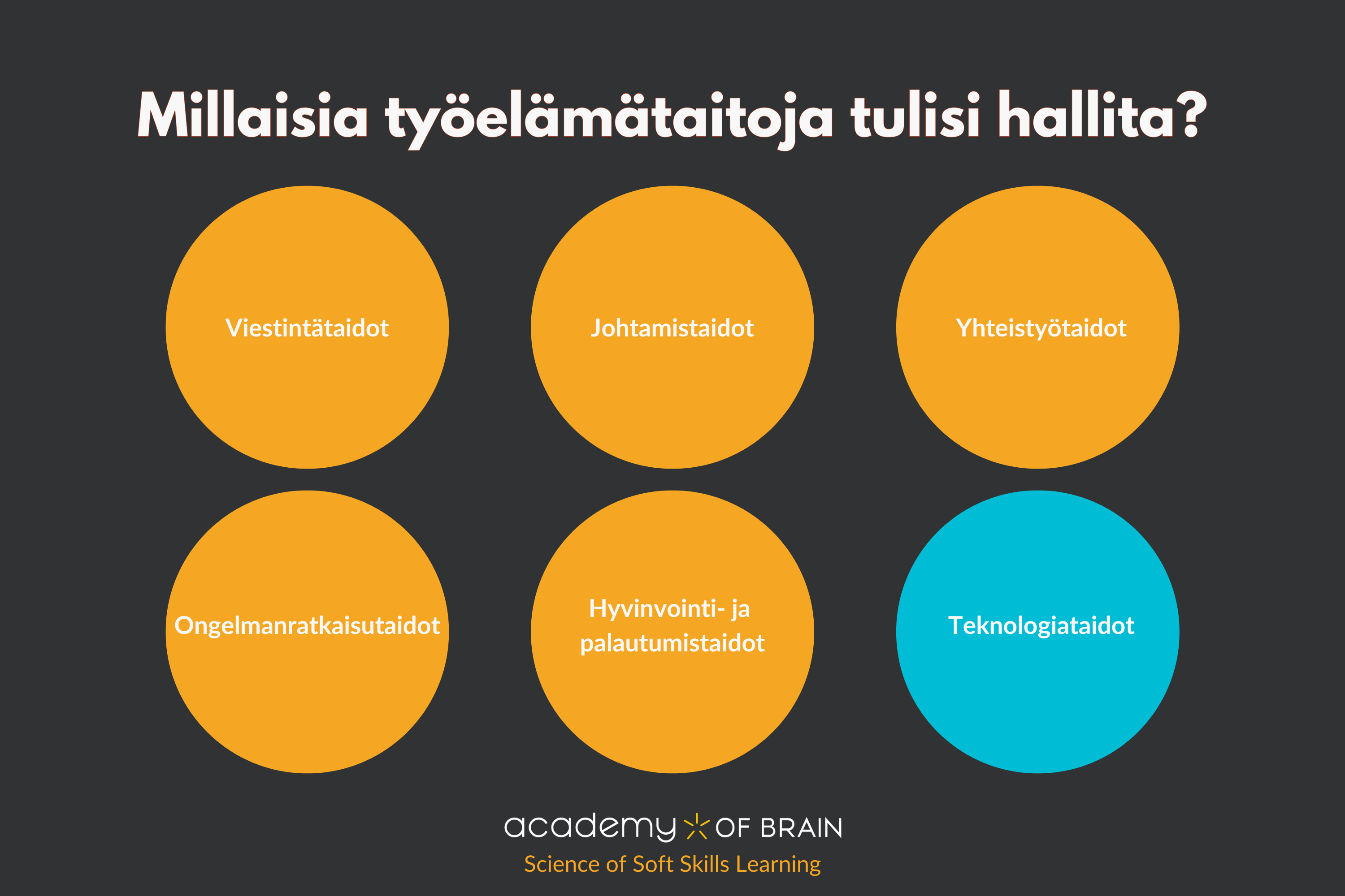 Mitä ovat työelämätaidot